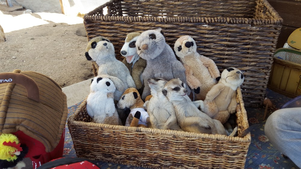 Fellow Earthlings 007