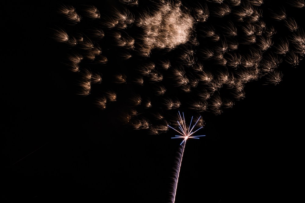 Torrance Fourth Fireworks-1