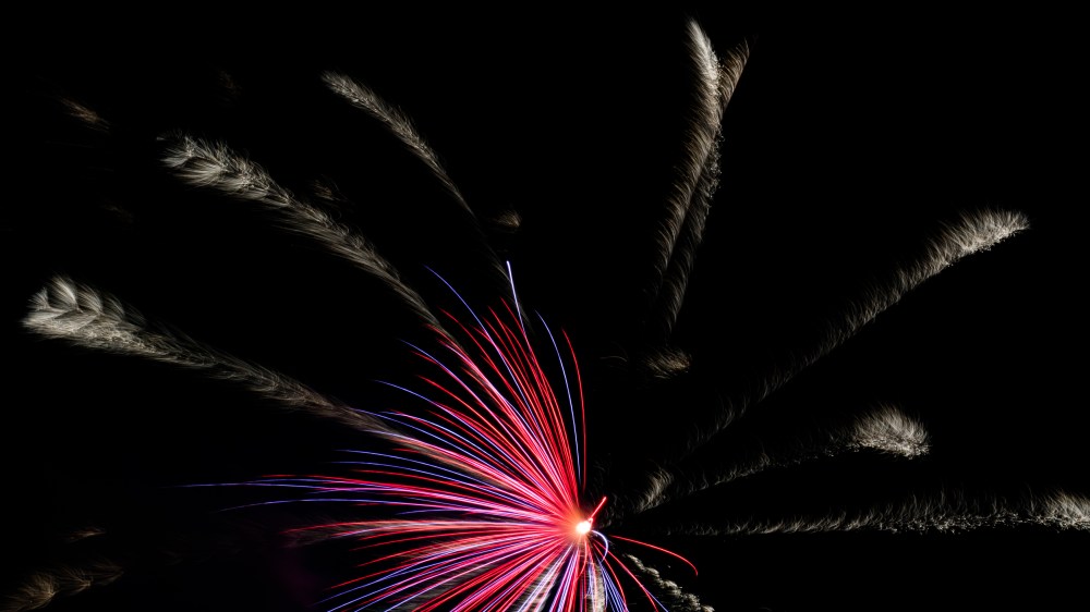 Torrance Fourth Fireworks-9