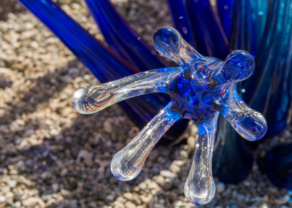 Catalina Chihuly-6