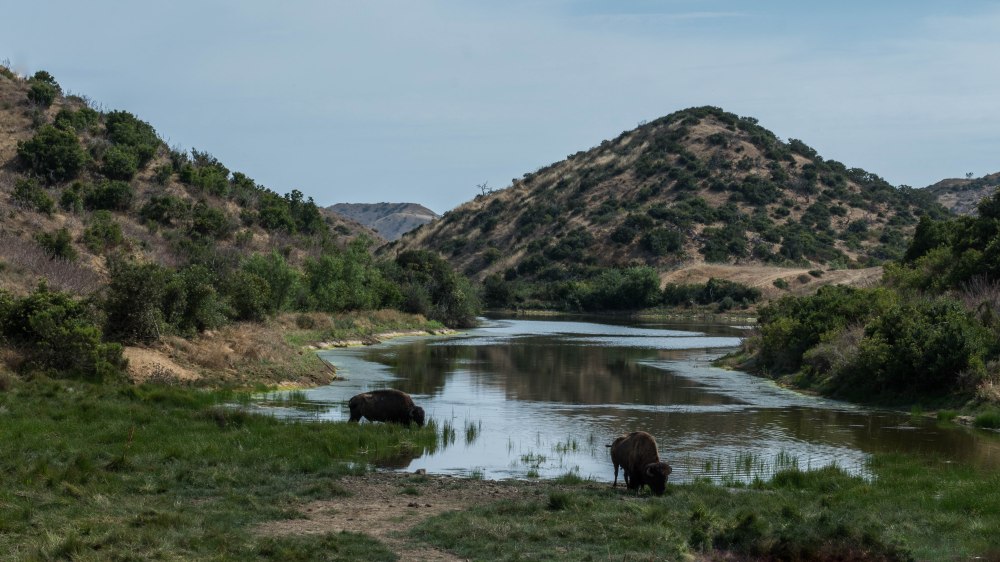 Catalina Jeep Tour-12