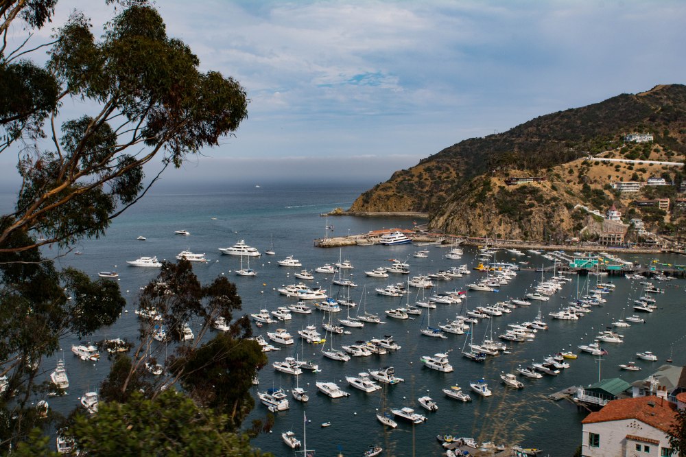 Catalina Jeep Tour-13