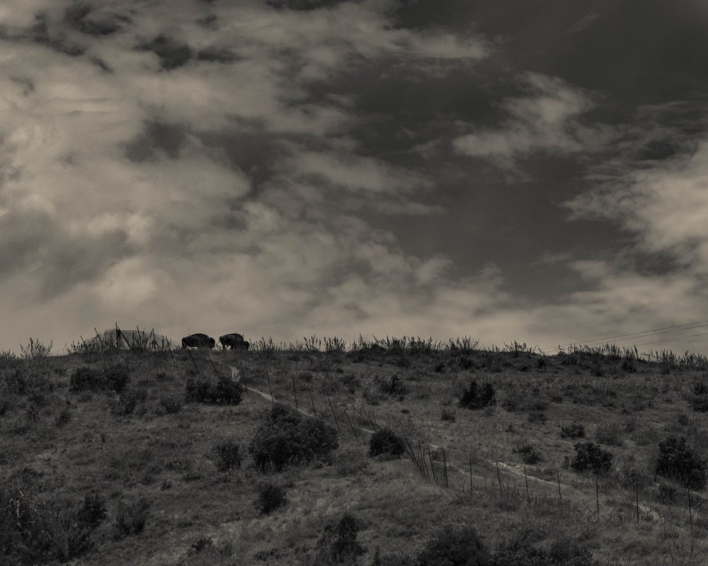Catalina Jeep Tour-2