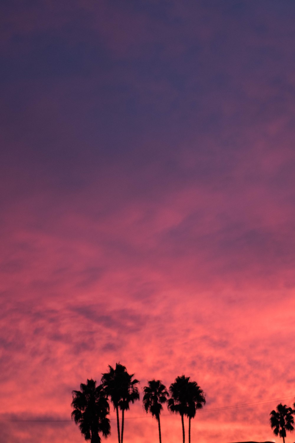 Christmas Light Cruise-1