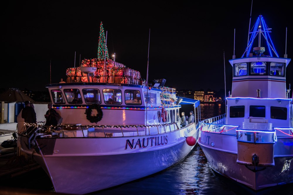 Christmas Light Cruise-2