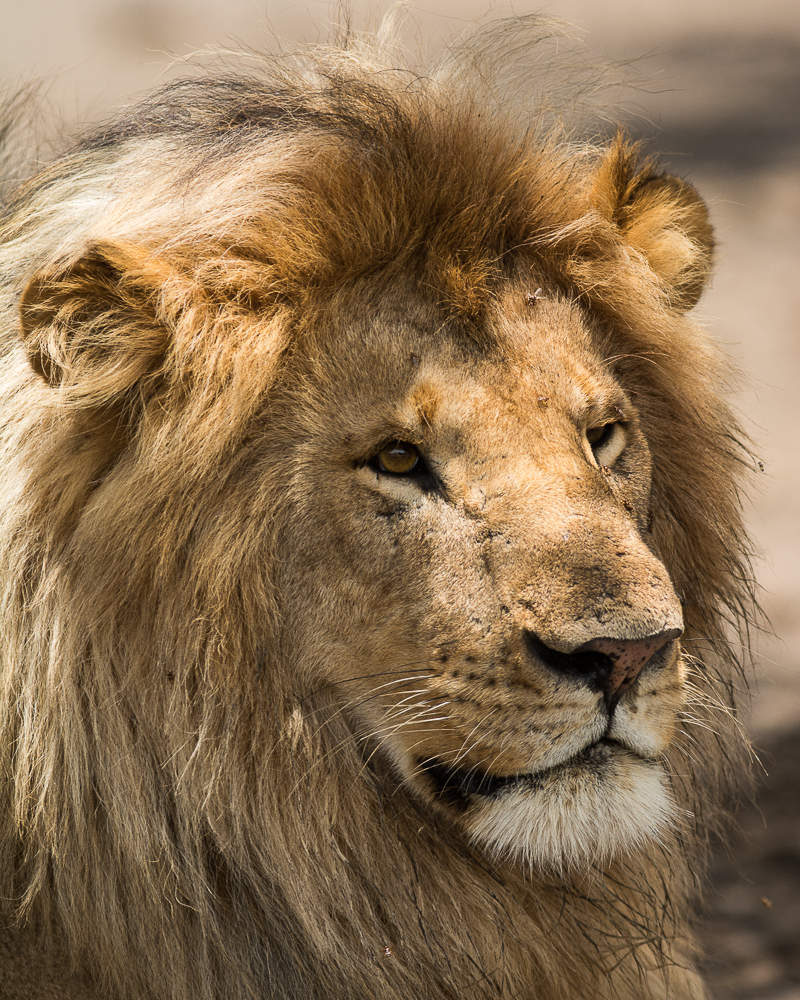 Tanzania-6006