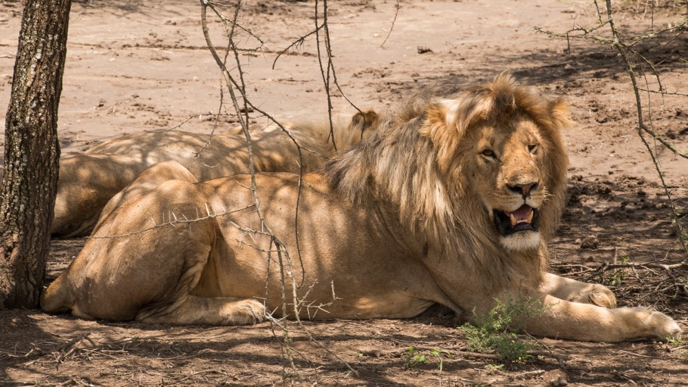 Tanzania-6010