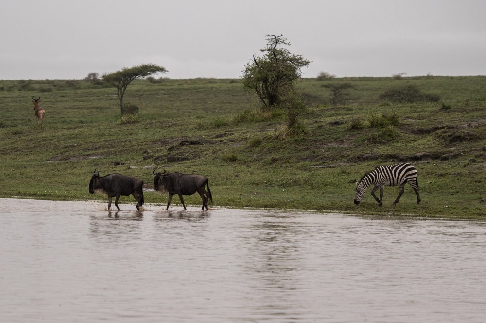 Tanzania-6012