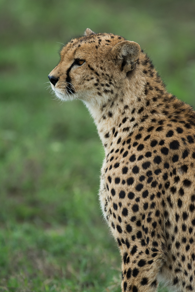Tanzania-9028